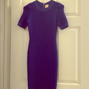 Torn By Ronny Kobo CANDY Ottoman Dress